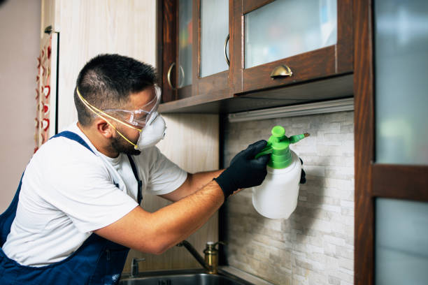 Best Best Pest Control Near Me  in Oconomowoc, WI
