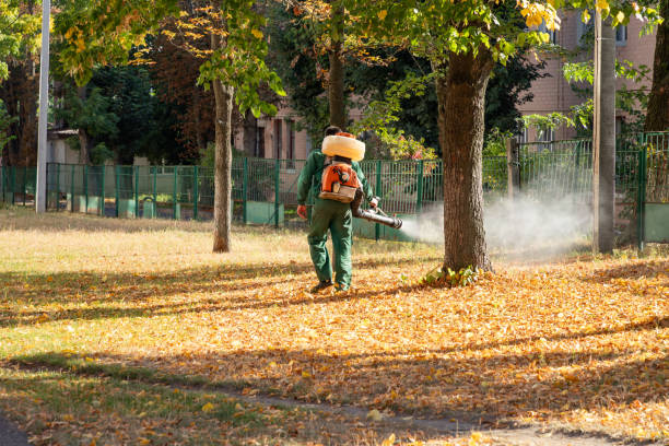 Best Wasp Removal Services  in Oconomowoc, WI