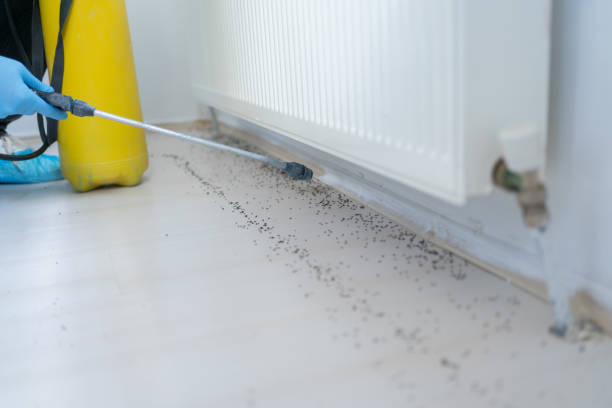 Best Ant Control Services  in Oconomowoc, WI