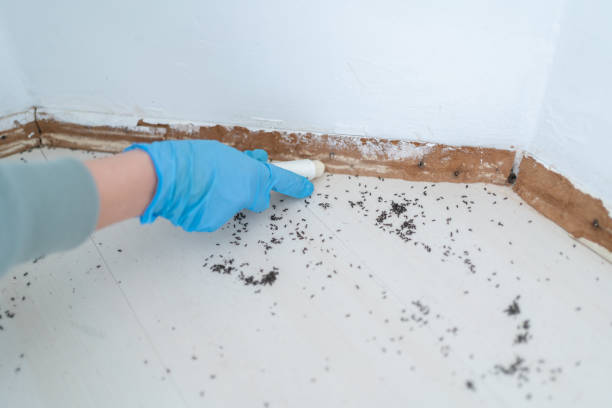 Best Pest Prevention Services  in Oconomowoc, WI